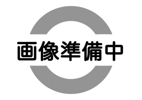 画像1: マクセルイズミ REC-LI120K用ダイス (1)