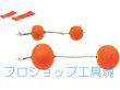 画像2: アサダ パージダム (2)