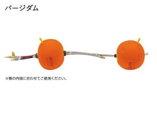 画像1: アサダ パージダム (1)