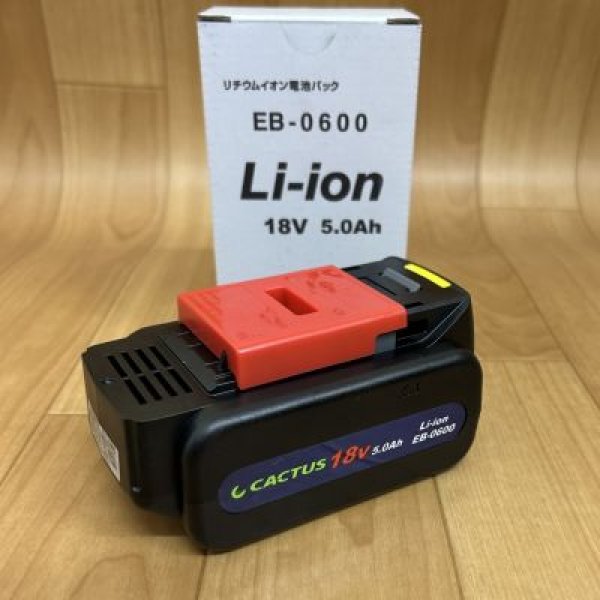 画像1: カクタスリチウムイオンバッテリー (1)