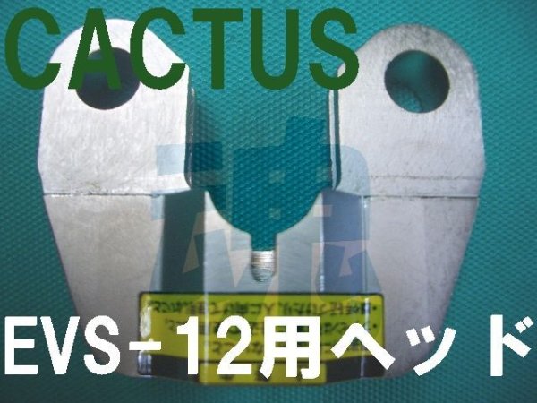 画像1: カクタスEVS-12シルバーヘッド (1)