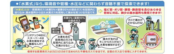 画像2: グッドマンスヌーパー4 (2)