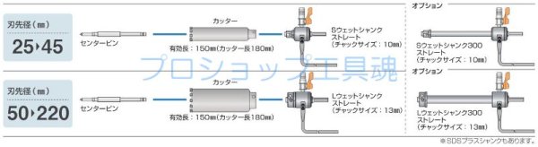 画像2: ミヤナガ ウェットシャンク (2)