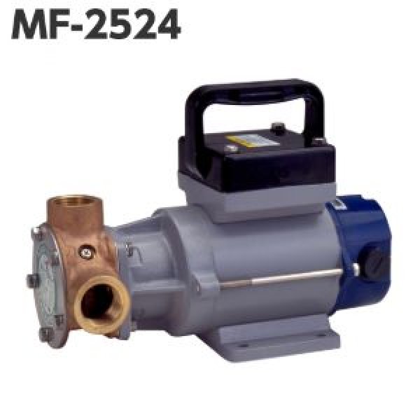 画像1: 工進ラバーインペラポンプ (1)