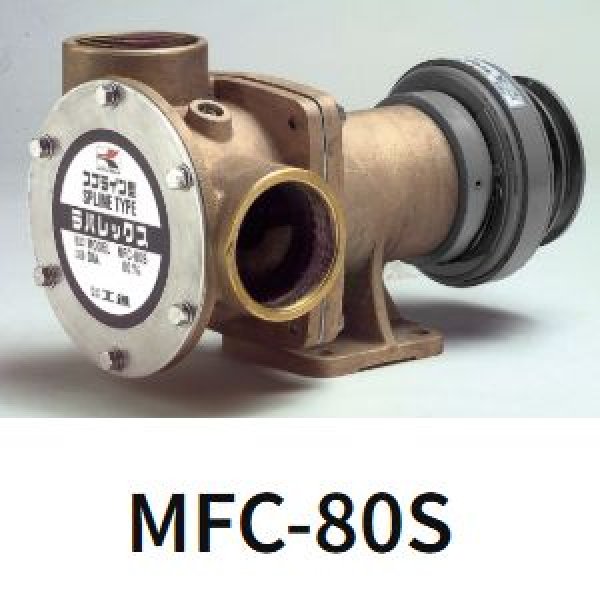 画像1: 工進ラバーインペラポンプ (1)