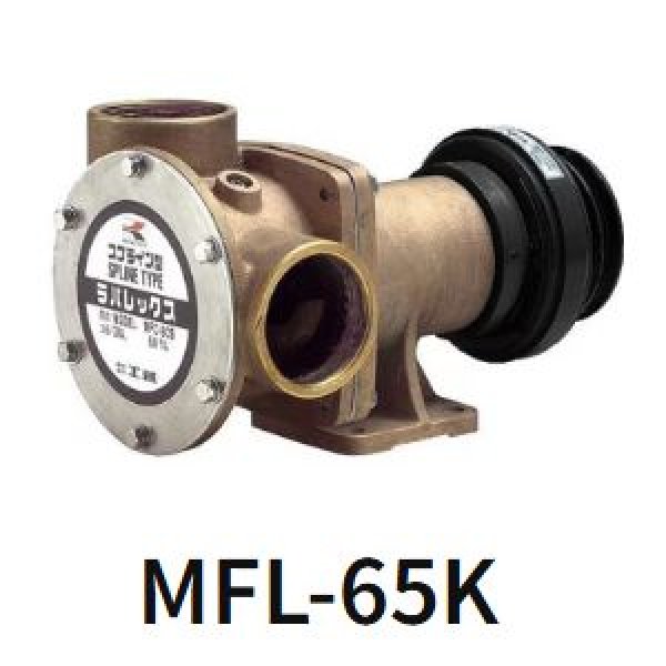 画像1: 工進ラバーインペラポンプ (1)