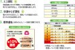 画像2: 静岡製機　赤外線ヒーター　VAL6 SY（バルシックス エスワイ）【メーカー直送品】 (2)