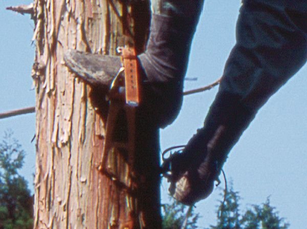 画像2: 藤井電工 木登り器 (2)