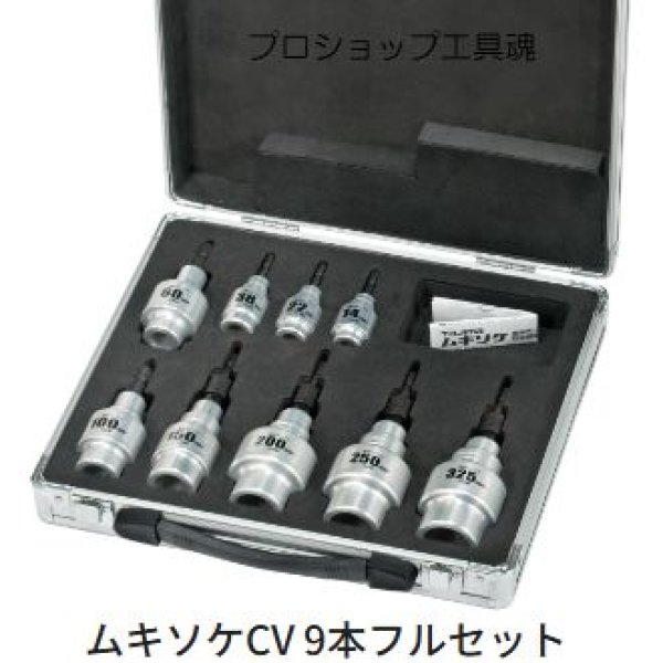 画像1: タジマムキソケCV 9本フルセット (1)
